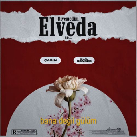 Bilal Sonses Diyemedim Elveda